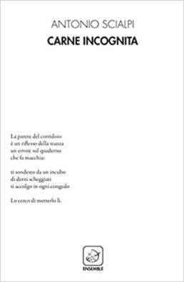carne_incognita_cover